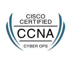 ccna-cyber-ops-training-bootcamp-online--500x500.png